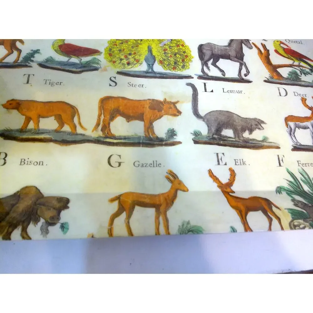 John Derian for Target Animal Alphabet Melamine Serving Tray Vintage Style Print